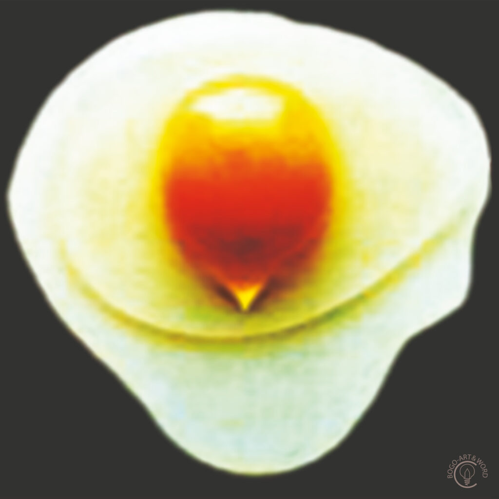 ART-Natur-89 - Das-gelbe-vom-Ei