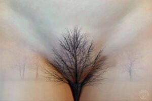 ART-Landscape-24 - Erotik-Land-Baumallee